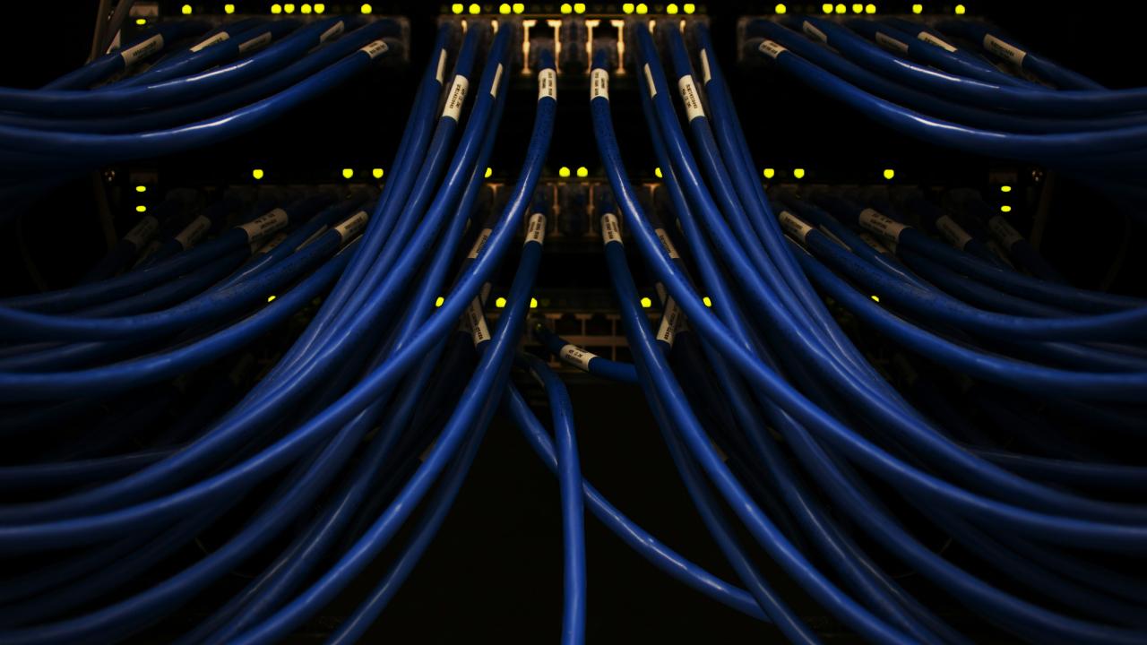 cables plugged into a server